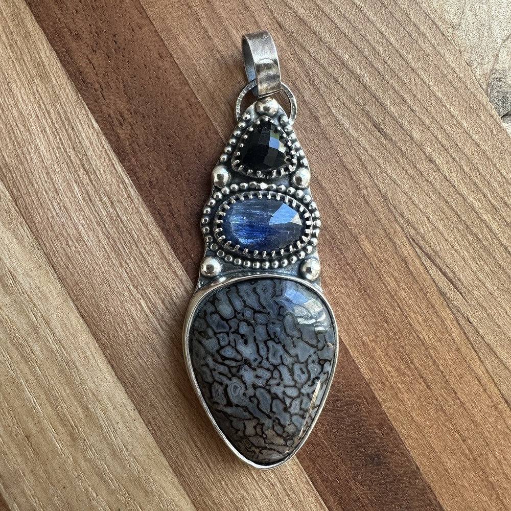 Paul Rossman Pendant 2 Inch Blue‎ Dino Bone Kyanite Onyx 925 Sterling 12.1g USA